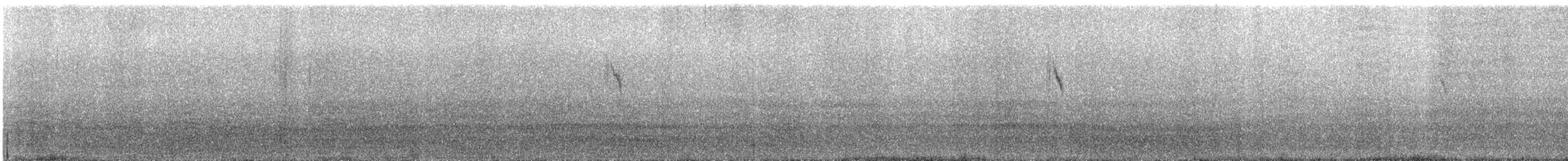 tanımsız Motacilla sp. - ML644850630