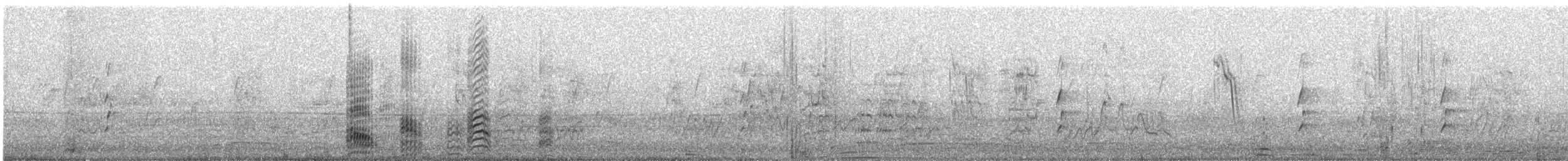 紐澳紅嘴鷗 - ML644850929