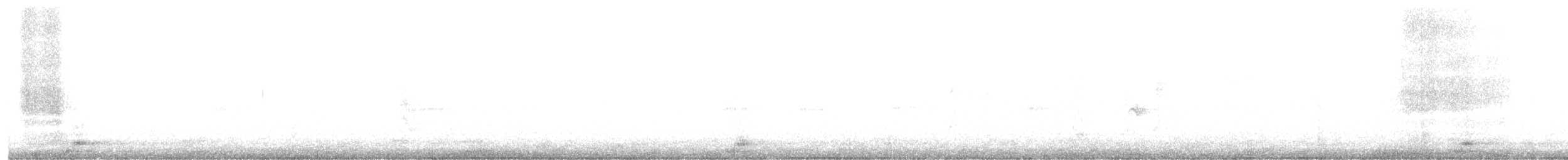 Common Raven - ML644851118