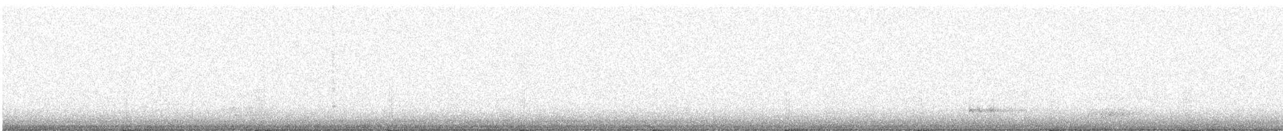 Greater White-fronted Goose - ML644851349