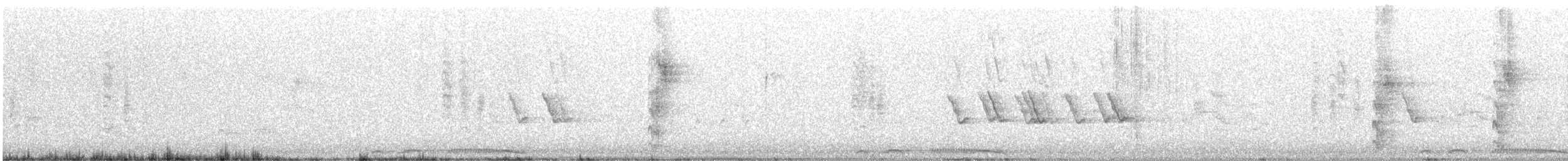 Красношапочный попугай - ML644851426