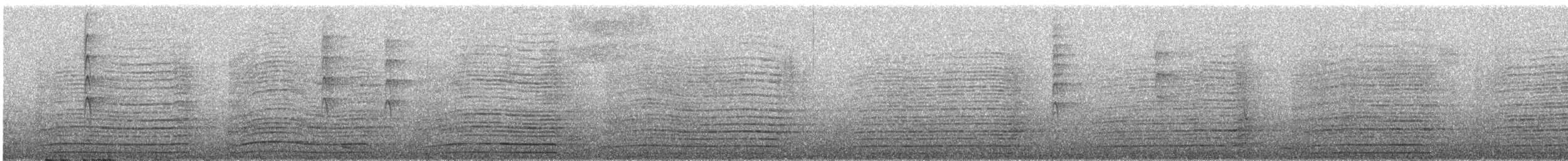 Изменчивый куравонг (arguta) - ML644851727