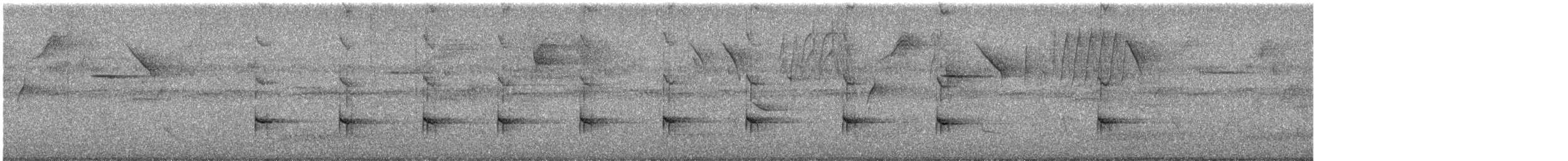 Ширококлювый тоди - ML644851735