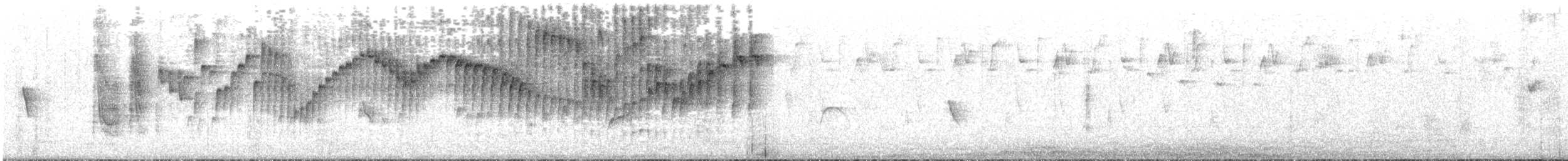 Лимонный певун (euophrys) - ML644851834