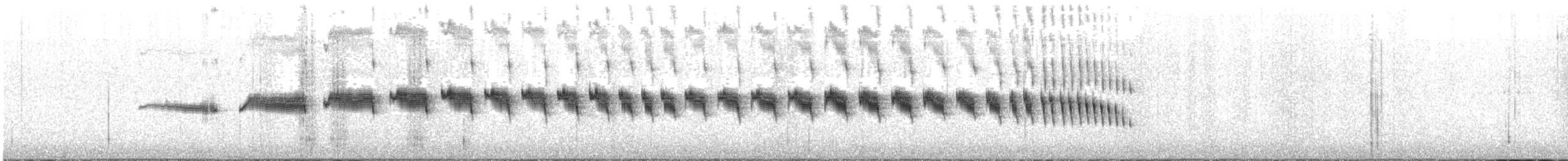 Пестрохвостый канастеро - ML644851902