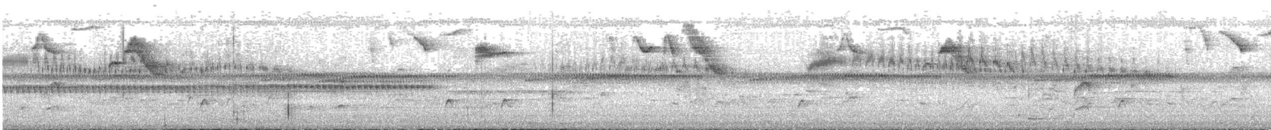 Горный стриж - ML644851932