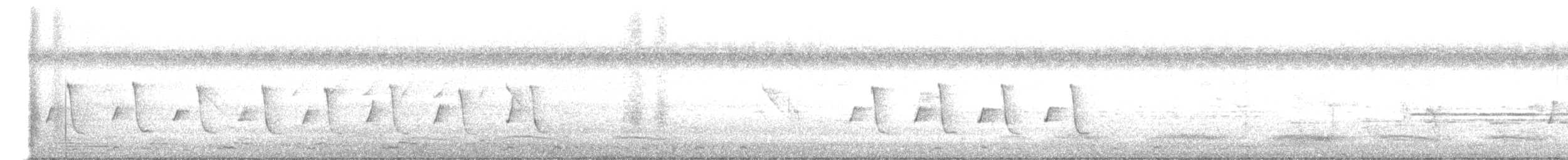 Красношапочная портниха - ML644852255