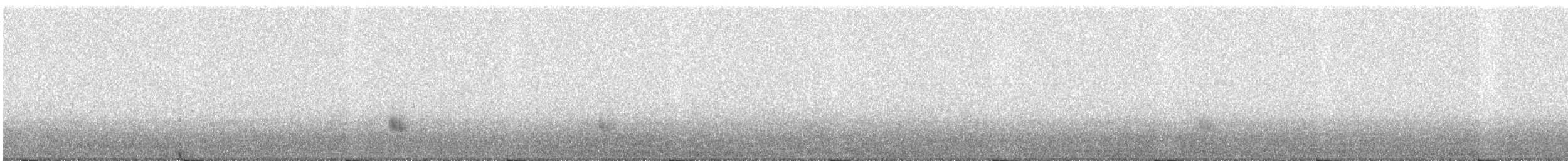 Серая утка - ML644852256