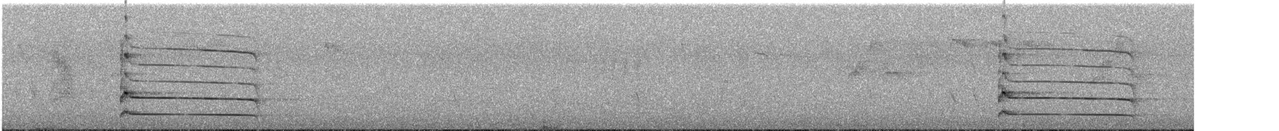 Black Woodpecker - ML644852461