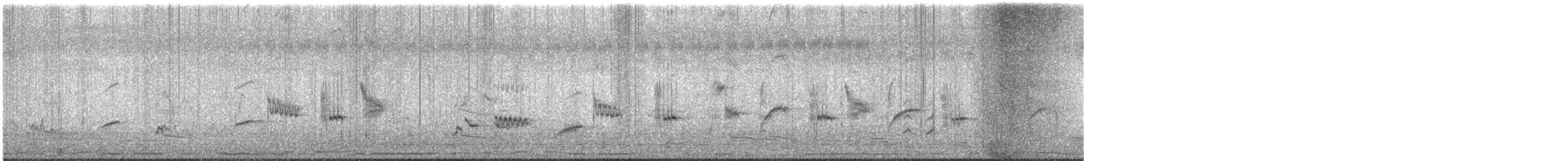 Indian Pied Starling - ML644852500