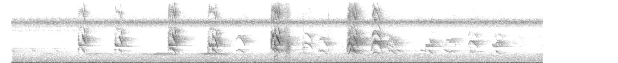 Rose-ringed Parakeet - ML644852670