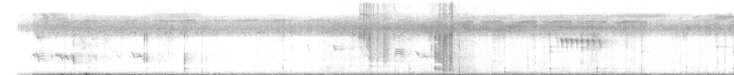 Black Drongo - ML644852864