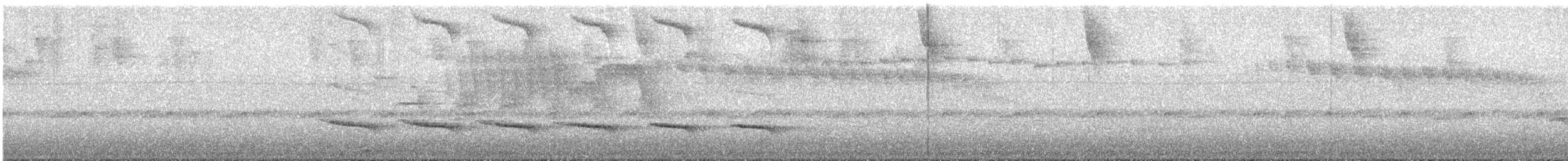 Blue-lored Antbird - ML644853331