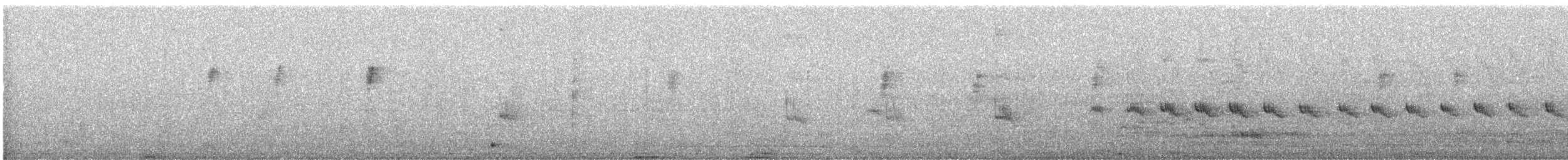 Asian Green Bee-eater - ML644853561