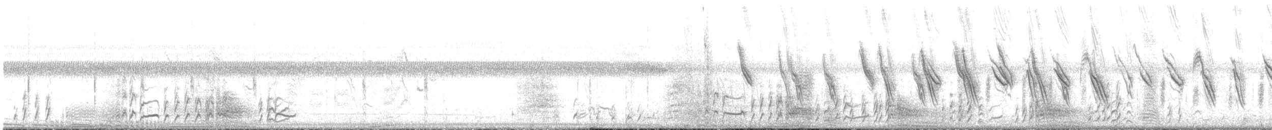 Black Crake - ML644853621