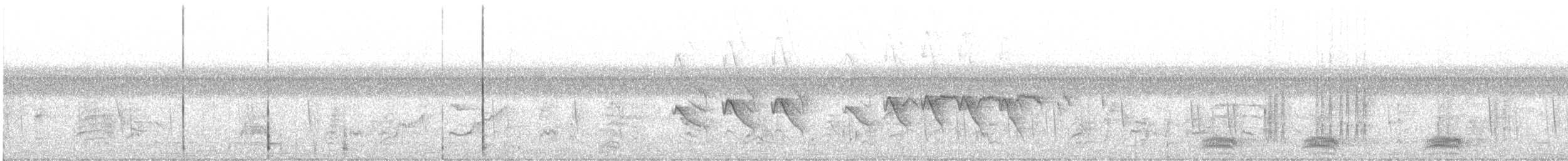 Yellow-eyed Babbler - ML644854845