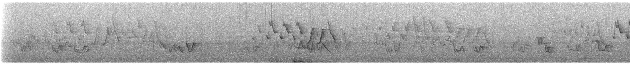 Northern Yellow Warbler - ML644856211