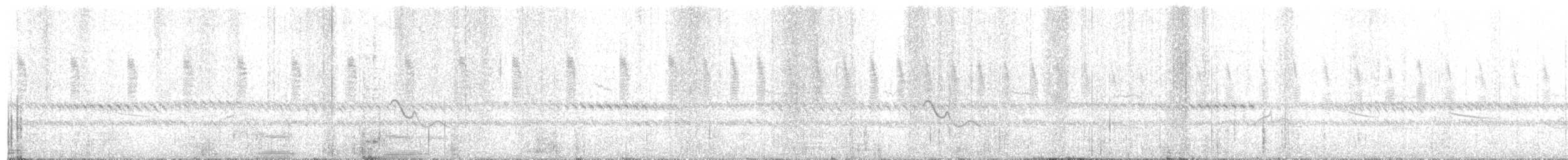 チビオセッカ - ML644857028