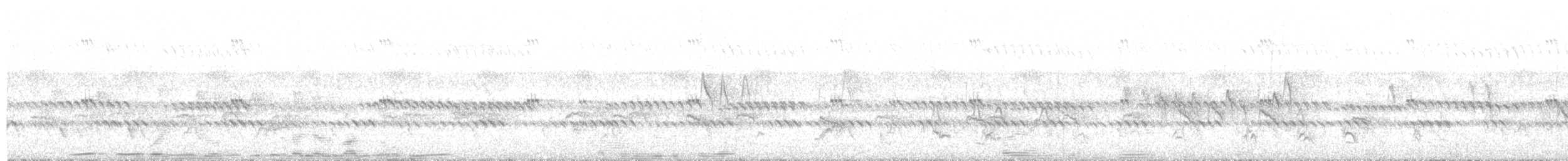 Senegal Kukalı - ML644857063