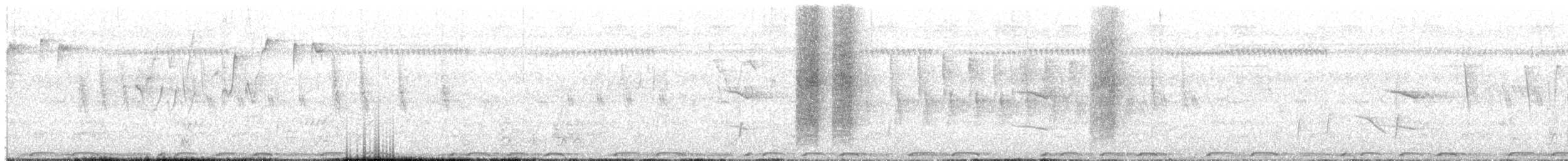 Sharpe Drongosu - ML644857086