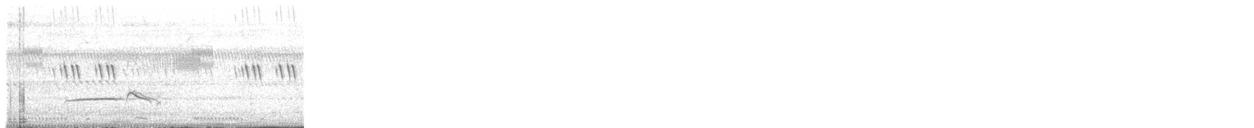 Maskeli Cüce Barbet - ML644857217