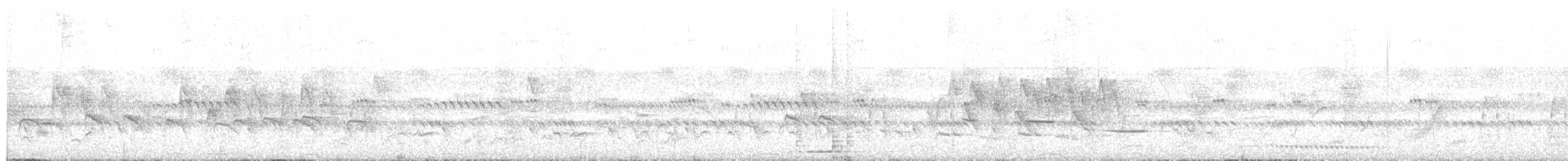 Ak Gerdanlı Prinya - ML644857284