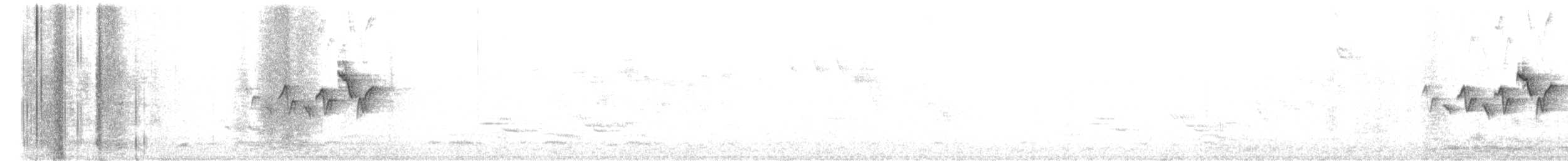 Magnolia Warbler - ML644857339