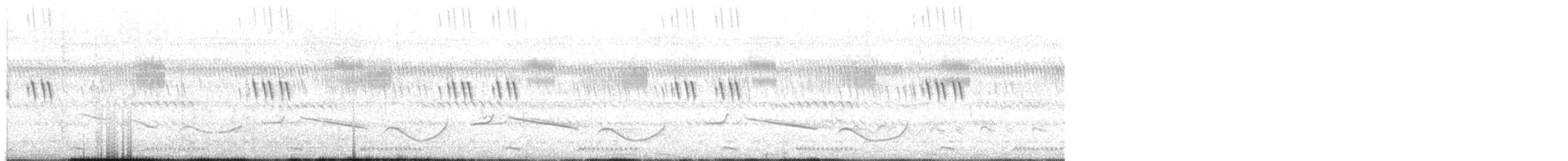 Senegal Çagrası - ML644857376