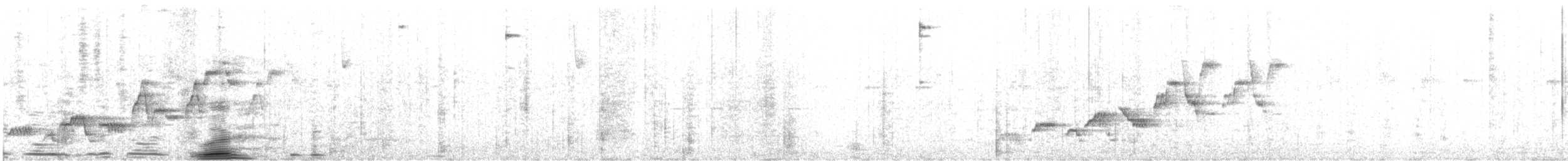 Swainson's Thrush - ML644857406