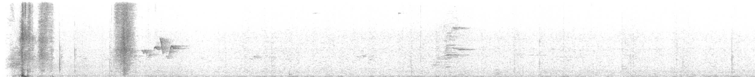 Magnolia Warbler - ML644857441