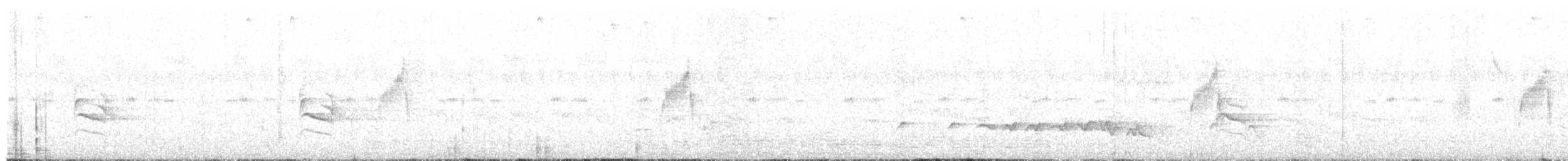 Islıkçı Yelpazekuyruk - ML644857451