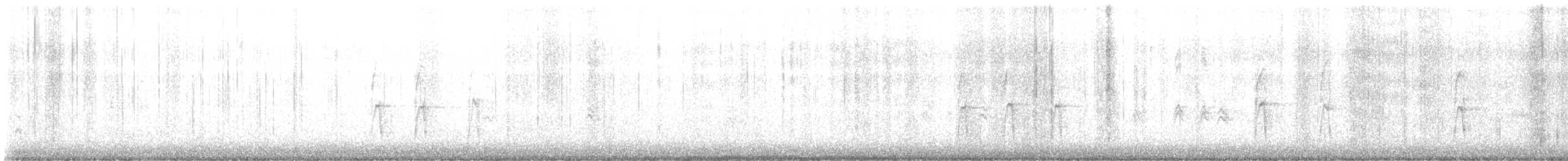 American Robin - ML644857503