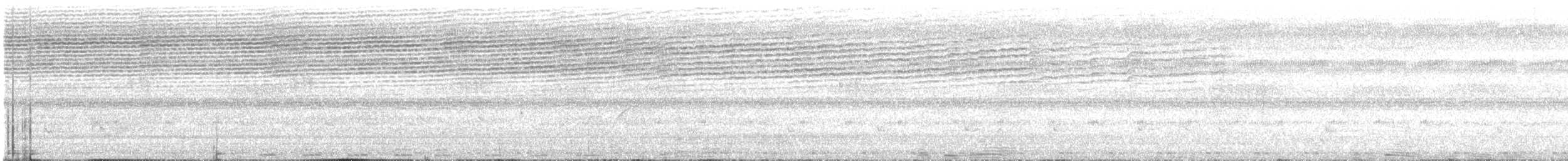 turako velký - ML644857780