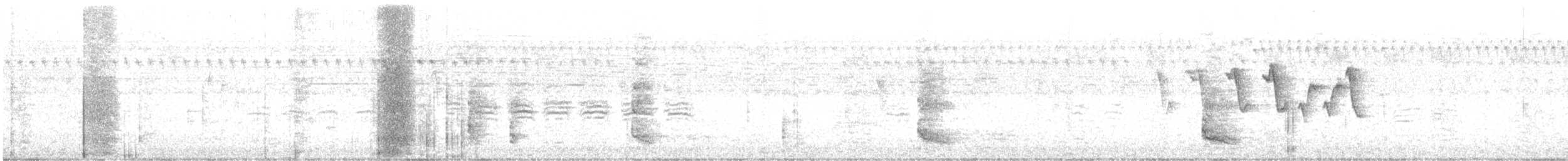 Carolina Wren - ML644858276