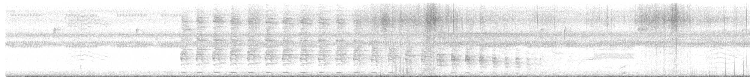 chřástal atlantický - ML644858504