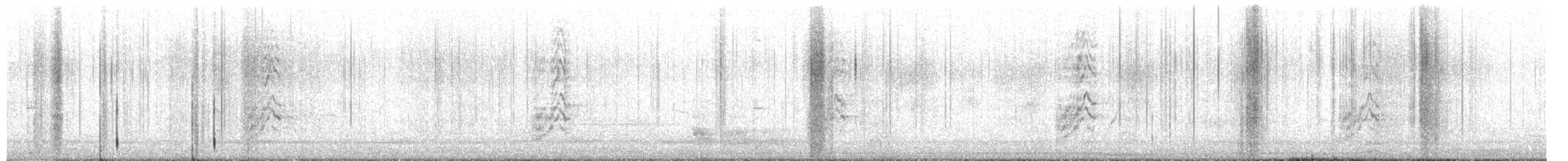 Woodhouse's Scrub-Jay - ML644859913