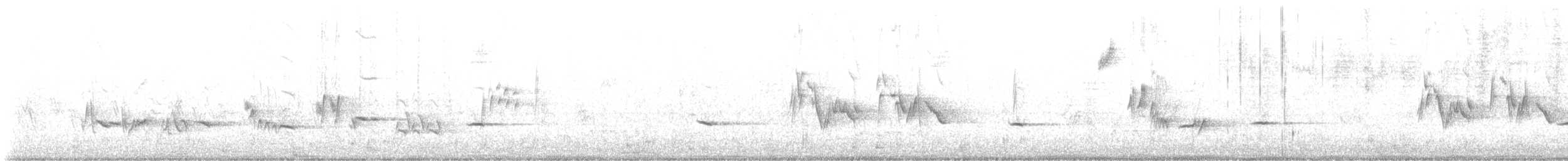 Townsend's Solitaire - ML644862906