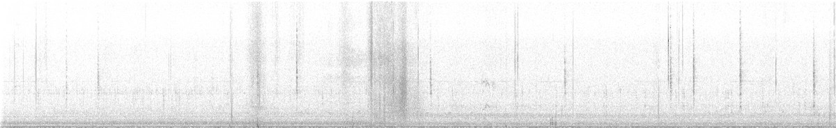 Brewer's Blackbird - ML644862913