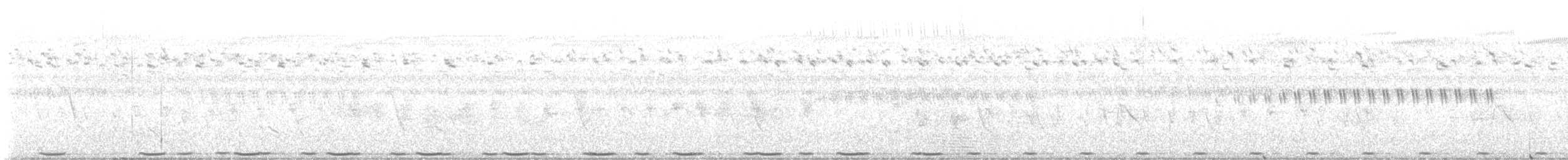 Greater Coucal - ML644862985