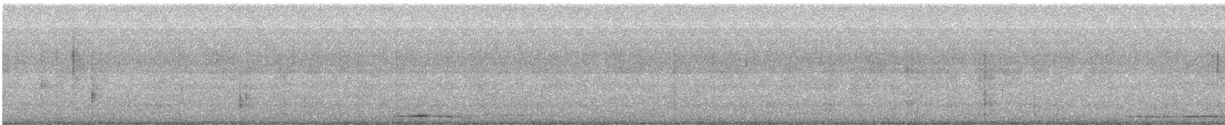 Tawny Owl - ML644864610