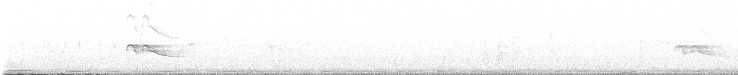 Mississippi Kite - ML644867031