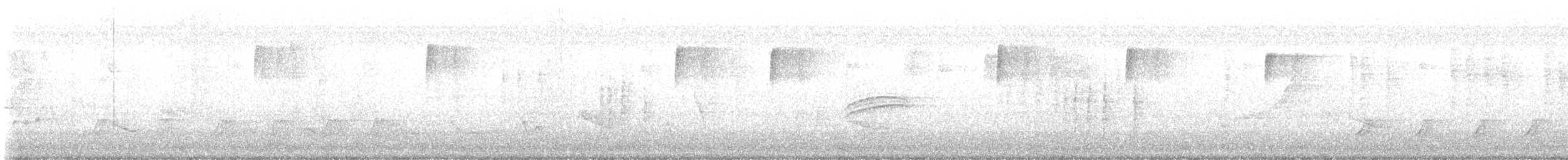 Erregetxo mottogorria - ML644867248