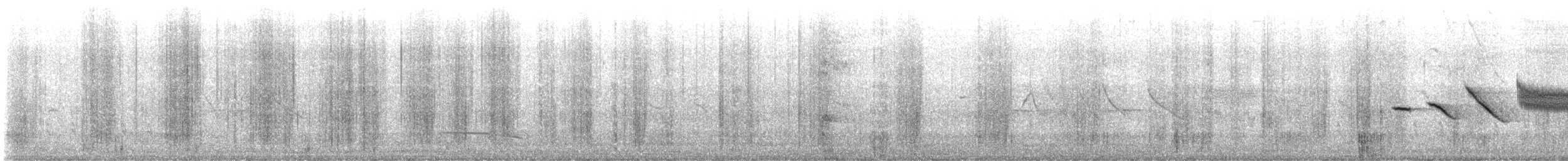 Morgenammer - ML644868075