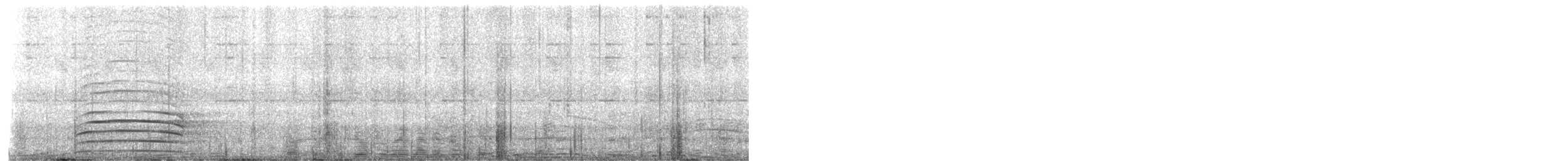 Indian Peafowl - ML644868212