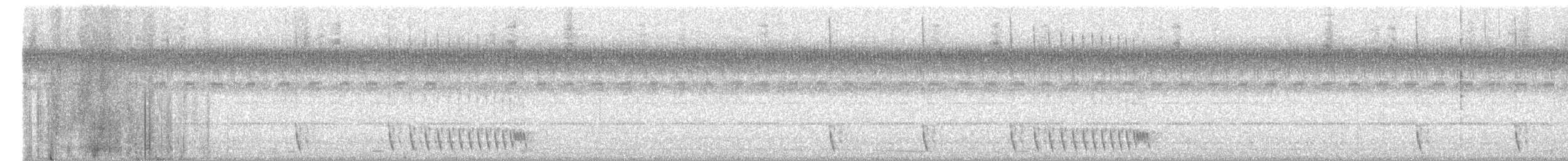 Hint Çobanaldatanı - ML644869140