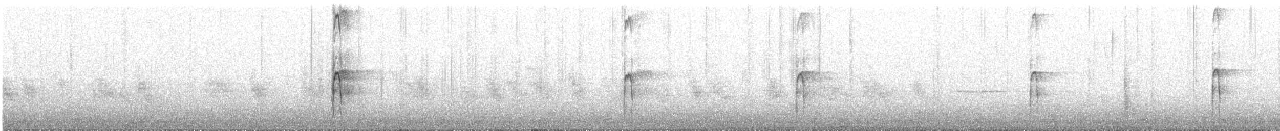 strakapoud americký - ML644869260