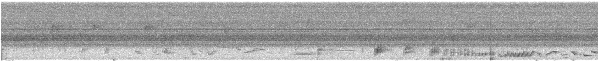 Borneoschama - ML644870028