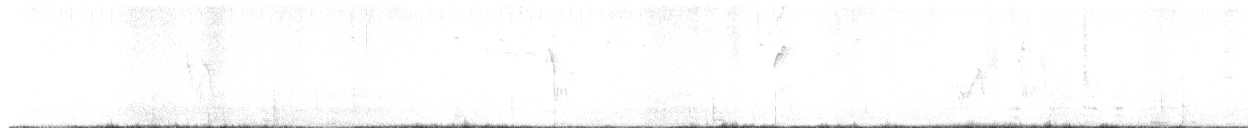 konipas bílý (ssp. yarrellii) - ML644870507