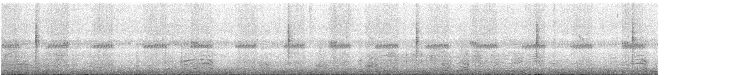 tartarsanger - ML644871210