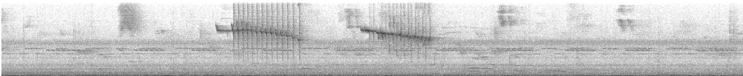 Rufous-tailed Hummingbird - ML644871383